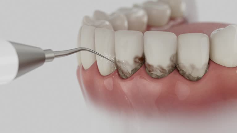 Reliable Dental contractor in Lincoln, MO by Dentist Open Now